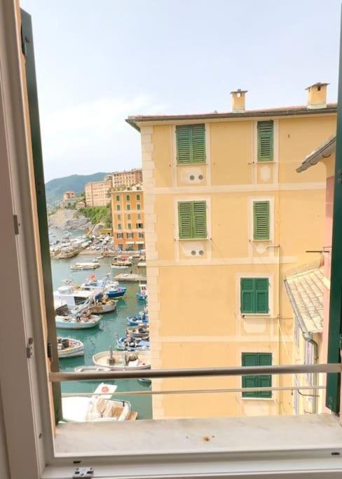 Attico Sul Porticciolo Antico Di Camogli公寓 外观 照片