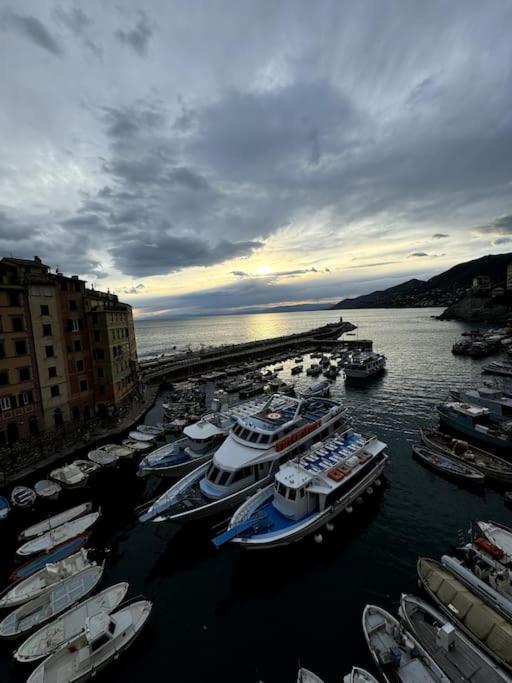 Attico Sul Porticciolo Antico Di Camogli公寓 外观 照片