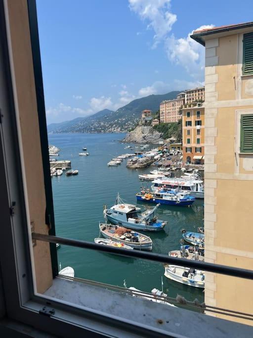 Attico Sul Porticciolo Antico Di Camogli公寓 外观 照片